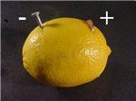 Элемент питания из лимона